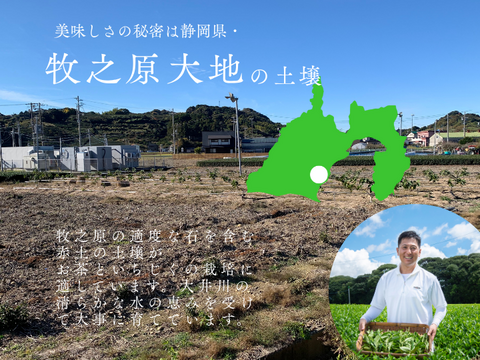 〈メール便〉静岡産 無添加・蜜しっとり国産ドライいちじく180g（Mitsuricchi®製法）メール便　静岡県産　国産