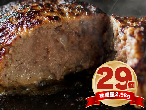 29の日】＼夏のハンバーグ大感謝祭／ 里山牛ハンバーグ 特盛 