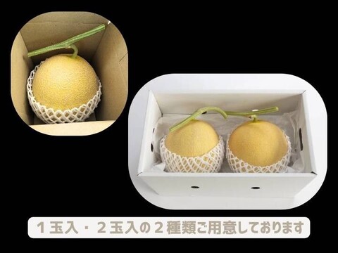 【最高金賞 受賞】極上メロン 渥美の陽光-HIKARI-(1.5kg１玉入)