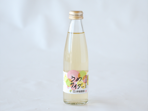【アウトレット特別価格 30％OFF】和歌山フルーツサイダー(うめ)　8本セット　ギフト箱　n14013-8g