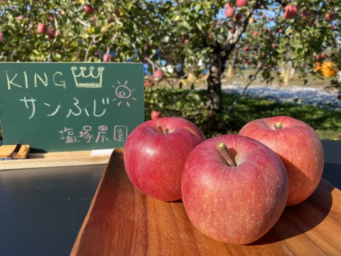 【予約】りんごの王様！サンふじ『信州りんご』６kg（３kg×２箱）