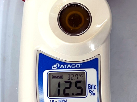 朝どれ高糖度フルーツトマト（シュガープラム） 800g