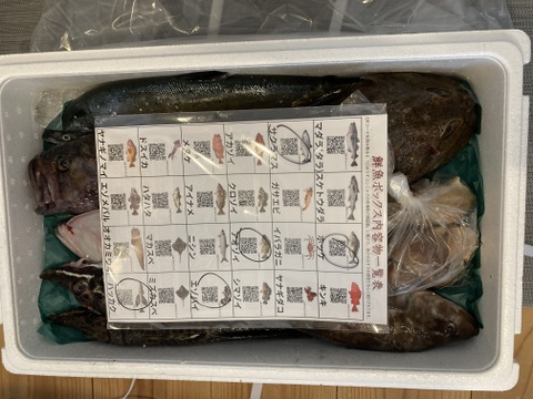 竹コース【知床らうす直送】船頭にお任せ！鮮魚ボックス（詰め合わせ) 海鮮セット