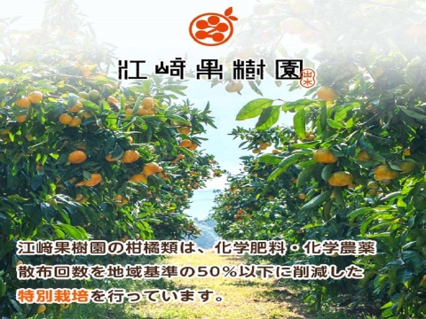 【夏ギフト】贅沢飲み切りタイプ全3種！　まるごと３種類果実ジュース8本セット