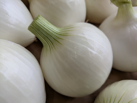 【玄海丸】皮むき玉ねぎ　福岡産　4kg