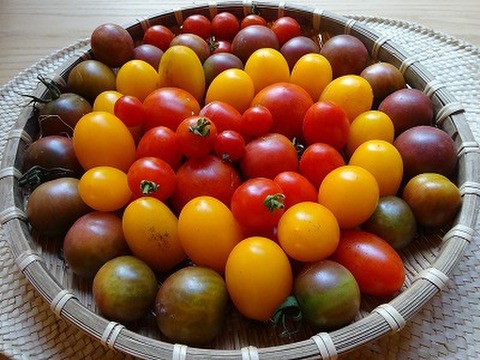 サンマルツァーノ・リゼルバ（加熱用トマト）、ミニトマトミックスなど、夏野菜のセット。