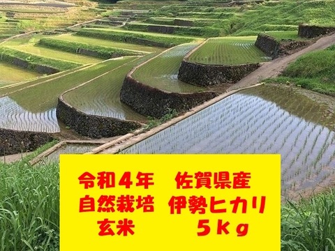 玄米２０kg！完全自然栽培美味しいお米!令和４年度!佐賀県産「伊勢