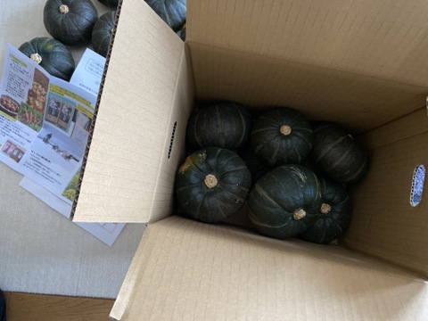 レンチン、バターをのせたらまるでスイーツ！【もっと有機栽培坊ちゃん】南瓜約7.5ｋｇ