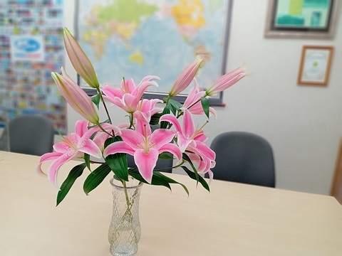 9月以降の発送　ギフトラッピング　ユリ切り花　5花色おまかせ　　※北海道・沖縄県配送不可※