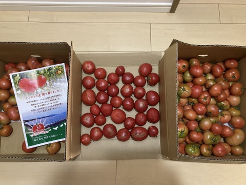 【訳有り品】規格外トマト約10.8キロ