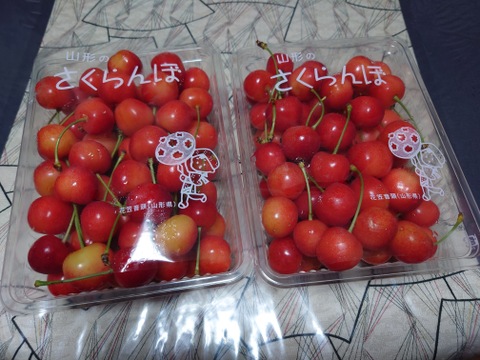 〈予約販売〉〈希少品〉〈GI認定〉大玉のみの佐藤錦　２Ｌ玉　一キロパックバラ　６上旬～６月下旬発送　さくらんぼ