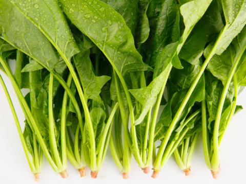 【茨城県産地直送】「朝採れほうれん草 」150g×7袋【計1kg】収穫時期7月下旬