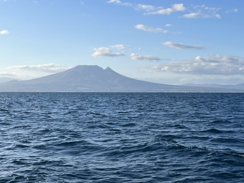 期間限定　特用　北海道産　漁師の店ホタテ　８kg