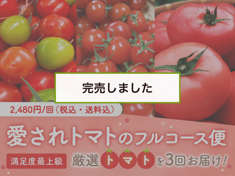 【完売御礼】【限定100セット】愛されトマトのフルコース便🍅（食べチョク公式）