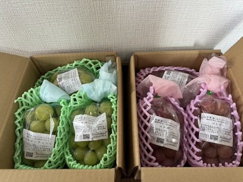 【朝どれ】【9月下旬からお届け:1kg以上！】ブドウ＊マスカサーティーン 1kg箱