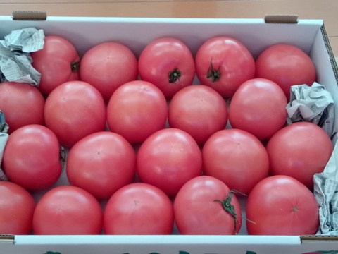 〈残留農薬未検出〉　美味さの秘訣は【土耕栽培】にあり！　まーくんトマト　　八百結び農法　大玉トマト