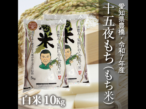 【節減対象農薬6割減】十五夜もち（もち米） 白米10kg【令和7年・愛知県産】