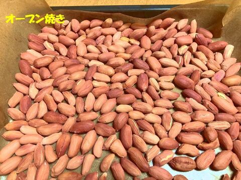 乾燥生落花生500g【ジャンボピーナッツ・極大粒・殻付き】【農薬・化学肥料不使用】【天日乾燥】【令和6年・岐阜県産】【レターパック配送】