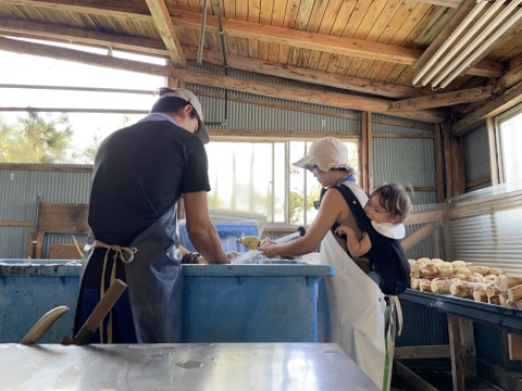 【冬ギフト】野菜ソムリエサミット最高金賞受賞🏅甘くてなめらか！【レンコン】4kg
