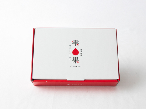 豊かな潤い！フルーツトマト「雫果（しずか）」600g・ギフトボックス