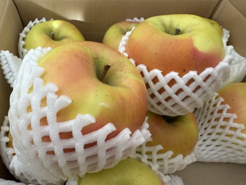 【販売開始！】青森県産りんご「ぐんま名月」家庭用 キズ有 約5kg 【光センサー選果・高リピート率】