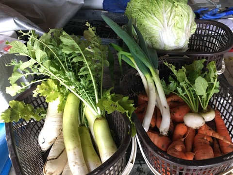 初夏の旬をそのままお届け！！皮ごと食べれる農薬不使用・在来種のSサイズ棚田野菜セット！