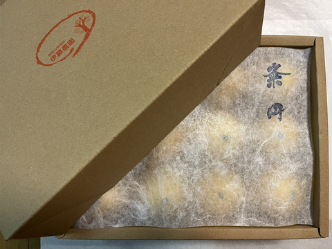 【先着5名様限定】伊藤農園認定 農家さんの木成り 完熟 黄金柑 特選 12個入【5月上旬より発送予定】354