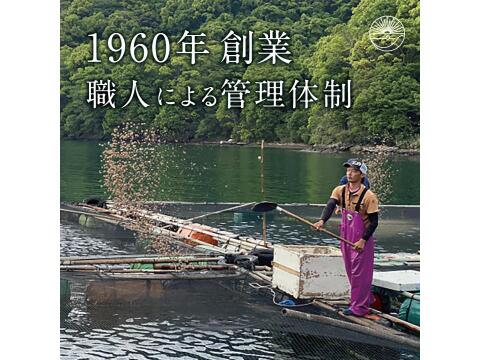 【Firesh®︎】国産サクラマス-桜空-カルパッチョ（60ｇ/1パック）