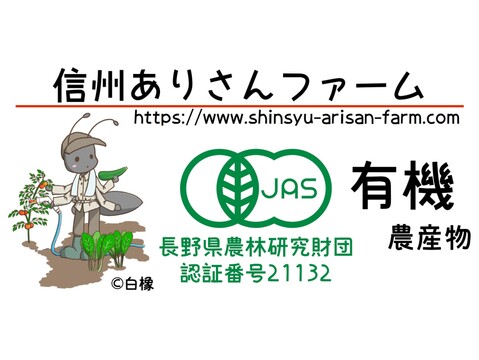 【信州産】季節の有機野菜（４品目）とピクルス（２瓶）のセット