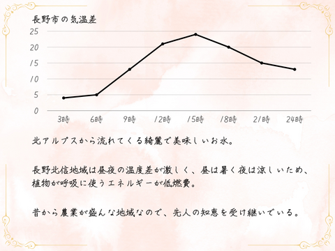 川中島白桃４～６玉 ギフトボックス【2025年先行予約】【信州長野県川中島産】8月上旬より発送開始