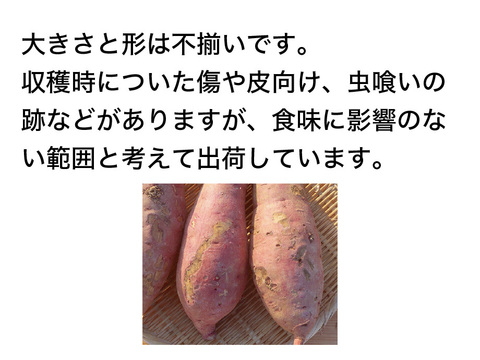 冬野菜Lセット9品目前後（農薬・化学肥料不使用）