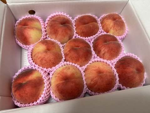 🍑珍しい桃　まどか　約3kg 8～14玉　8月中旬発送【ASIAGAP認証農場：津軽農園】　安心・安全な桃　収穫した日に発送　家庭用　農家直送【朝どれ】