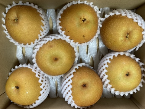 甘みと酸味が最高！豊水梨(家庭用）約2.5kg(5〜8玉)