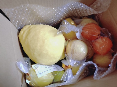 トクトク🍓いちごの宝石箱１箱と
レモンの食べ比べ１箱のセット
【いちご食べ比べ】
【レモン食べ比べ】