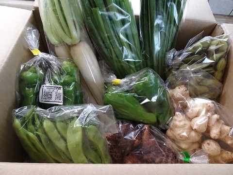 心と体に癒しを♪旬のまごころお野菜セット！（約8品目）