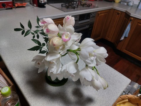 箱いっぱいの蘭・シンビジウムの切り花【アワード受賞福袋】いろいろな品種のシンビジウムが入るお楽しみ福袋