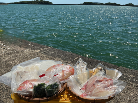 今だけ ✨️季節限定 
五島列島産 海の幸 詰め合わせセット✨
旬の魚バラエティ
何が入るかお楽しみ！！