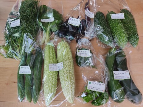 旬のお野菜セット（5～7品）クール便