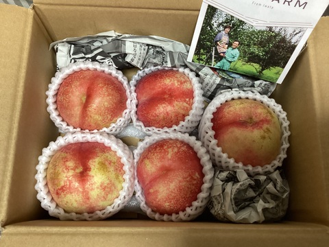 極甘！とれたてネク桃・ハネージュB品（約1㎏）