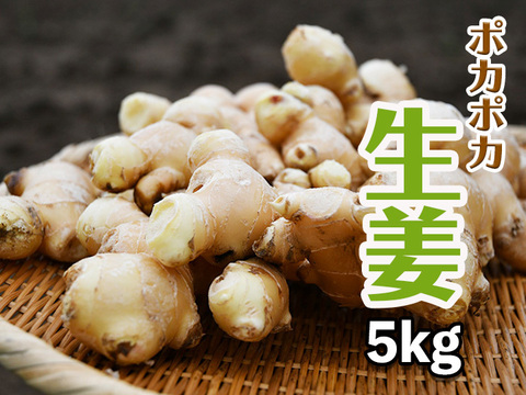 【農薬・化学肥料不使用】生姜5kg 料理に使って冬でもポッカポカ♫