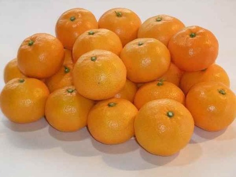 【冬ギフト】とにかく甘い！ひめまる石地みかん（贈答用・４Kg）