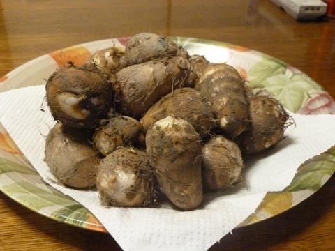 【野菜セットＳ秋冬】お試しサイズの露地野菜