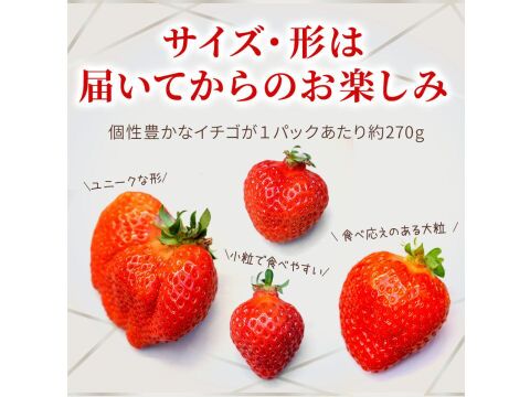 【いちごの王様！ あまおう苺 サイズ色々で270ｇ×6パック！【冬ギフト】