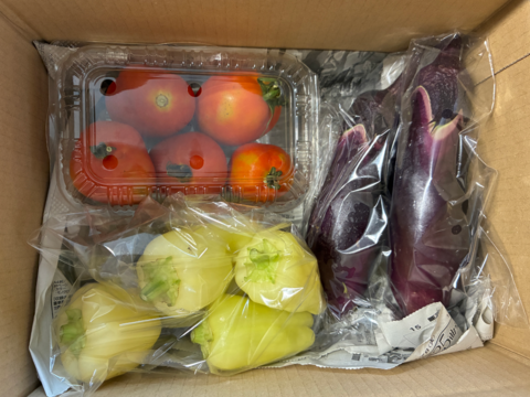 【土曜出荷：出荷先制限】『夏野菜セット(小)』 (調理トマト10個+ピーマン10個+ナス5本)