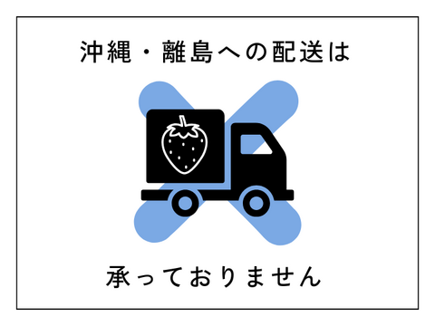 【贈答箱入り】Mサイズ･３０粒 夏ギフト★ 軽井沢産 夏秋いちご「サマールージュ（信大BS8-9）」 産地直送 生いちご 贈り物に最適です！