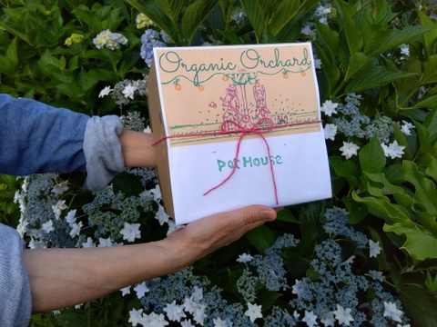 【福袋2025】【贈答用】【特秀品】【秀品】【夏ギフト】”朝積みブルーベリー1kgと煮え立てブルーベリージャム1瓶”　農薬・肥料・除草剤不使用