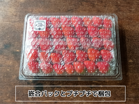 【春限定】よつぼしお楽しみパック【朝づみ直送】約450g