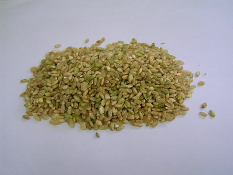若玄米 緑玄米 令和4年産 ゆめみづほ 2kg