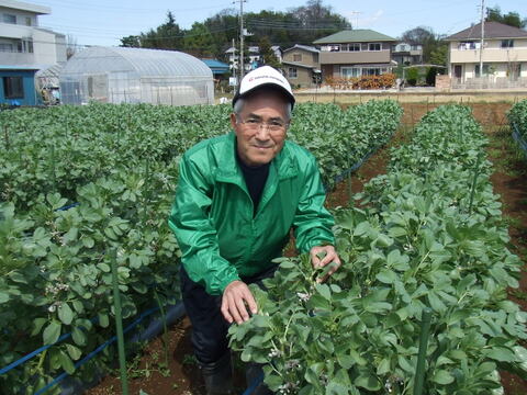 大粒で甘味があって美味しい！かまちゃん農園の「一寸そら豆」(1kg)
