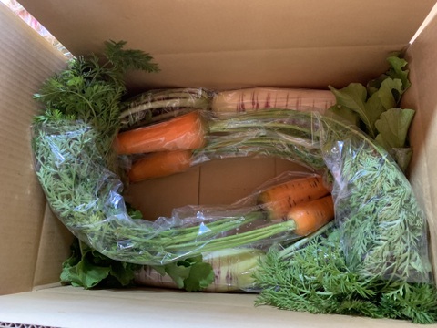 【自然栽培】会津伝統野菜含む5~8品目旬のお野菜セットLサイズ